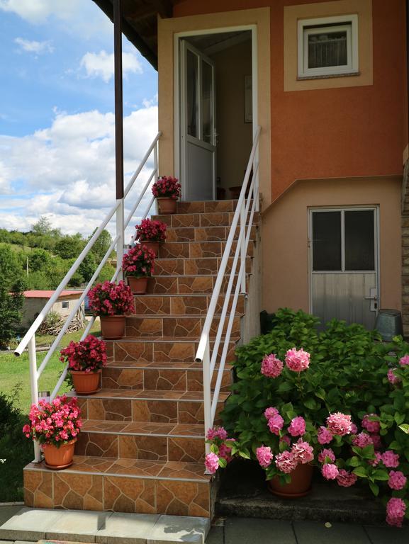 Apartment Luka Kuterevo Exteriér fotografie
