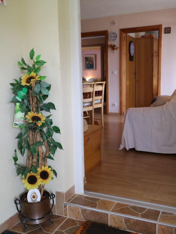 Apartment Luka Kuterevo Exteriér fotografie